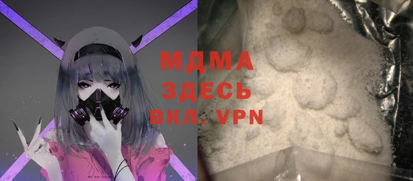 индика Осташков
