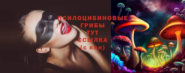 герыч Пересвет