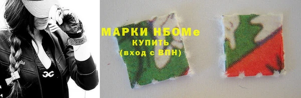 индика Осташков