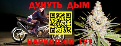 ГАЛЛЮЦИНОГЕННЫЕ ГРИБЫ Гагарин