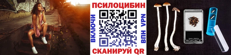 мориарти официальный сайт  купить закладку  Рассказово  Псилоцибиновые грибы мицелий 