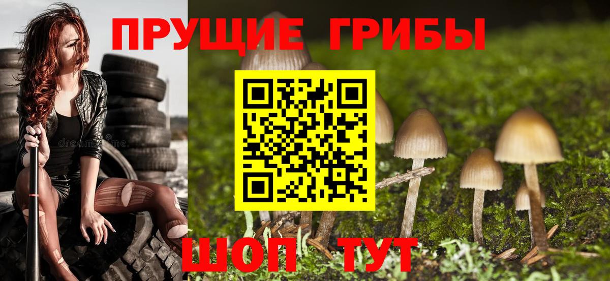 Псилоцибиновые грибы Psilocybe  Рассказово 