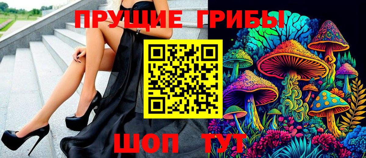 Рассказово  Галлюциногенные грибы Psilocybine cubensis  купить наркотики сайты  Вход с VPN 